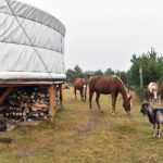 Gustawów, gm. Fałków. Jurty / Magdalena Galas-Klusek / Radio Kielce