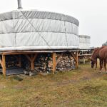 Gustawów, gm. Fałków. Jurty / Magdalena Galas-Klusek / Radio Kielce