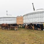 Gustawów, gm. Fałków. Jurty / Magdalena Galas-Klusek / Radio Kielce