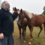 Gustawów, gm. Fałków. Jurty / Magdalena Galas-Klusek / Radio Kielce