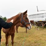 Gustawów, gm. Fałków. Jurty / Magdalena Galas-Klusek / Radio Kielce