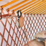 Gustawów, gm. Fałków. Jurty / Magdalena Galas-Klusek / Radio Kielce