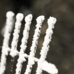 14.12.2021 Kielce. Zima. Szadź / Jarosław Kubalski / Radio Kielce