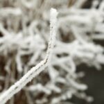 14.12.2021 Kielce. Zima. Szadź / Jarosław Kubalski / Radio Kielce