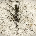 14.12.2021 Kielce. Zima. Szadź / Jarosław Kubalski / Radio Kielce