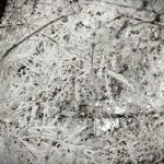 14.12.2021 Kielce. Zima. Szadź / Jarosław Kubalski / Radio Kielce