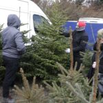 17.12.2021 Kielce. Żywe choinki / Jarosław Kubalski / Radio Kielce