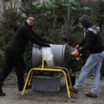 17.12.2021 Kielce. Żywe choinki / Jarosław Kubalski / Radio Kielce