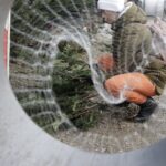 17.12.2021 Kielce. Żywe choinki / Jarosław Kubalski / Radio Kielce