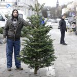 17.12.2021 Kielce. Żywe choinki / Jarosław Kubalski / Radio Kielce