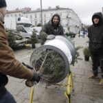 17.12.2021 Kielce. Żywe choinki / Jarosław Kubalski / Radio Kielce