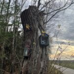 25.12.2021. Krzepin. Miejscowość gdzie miała miejsce bitwa / Dionizy Krawczyński / Radio Kielce