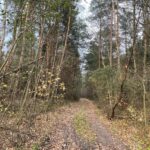 25.12.2021. Krzepin. Miejscowość gdzie miała miejsce bitwa / Dionizy Krawczyński / Radio Kielce