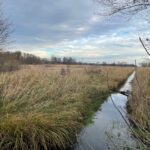 25.12.2021. Krzepin. Miejscowość gdzie miała miejsce bitwa / Dionizy Krawczyński / Radio Kielce