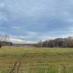 25.12.2021. Krzepin. Miejscowość gdzie miała miejsce bitwa / Dionizy Krawczyński / Radio Kielce