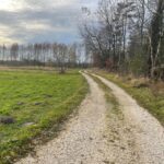 25.12.2021. Krzepin. Miejscowość gdzie miała miejsce bitwa / Dionizy Krawczyński / Radio Kielce