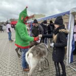 19.12.2021. Opatów. Kiermasz bożonarodzeniowy dla małej Igi Kaczmarczyk / Emilia Sitarska / Radio Kielce