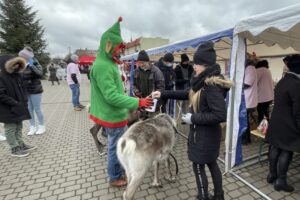 19.12.2021. Opatów. Kiermasz bożonarodzeniowy dla małej Igi Kaczmarczyk / Emilia Sitarska / Radio Kielce