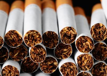 papierosy / Shutterstock