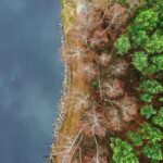 22.11.2021. Kompleks Lasów Cisowskich. Stawy na strumieniu o nazwie Dopływ / Jarosław Kubalski / Radio Kielce