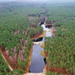 22.11.2021. Kompleks Lasów Cisowskich. Stawy na strumieniu o nazwie Dopływ / Jarosław Kubalski / Radio Kielce