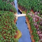 22.11.2021. Kompleks Lasów Cisowskich. Stawy na strumieniu o nazwie Dopływ / Jarosław Kubalski / Radio Kielce