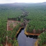 22.11.2021. Kompleks Lasów Cisowskich. Stawy na strumieniu o nazwie Dopływ / Jarosław Kubalski / Radio Kielce