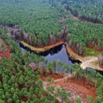 22.11.2021. Kompleks Lasów Cisowskich. Stawy na strumieniu o nazwie Dopływ / Jarosław Kubalski / Radio Kielce