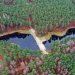 22.11.2021. Kompleks Lasów Cisowskich. Stawy na strumieniu o nazwie Dopływ / Jarosław Kubalski / Radio Kielce