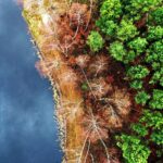 22.11.2021. Kompleks Lasów Cisowskich. Stawy na strumieniu o nazwie Dopływ / Jarosław Kubalski / Radio Kielce