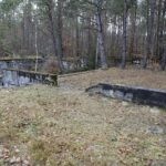 22.11.2021. Kompleks Lasów Cisowskich. Pozostałości tartaku / Jarosław Kubalski / Radio Kielce