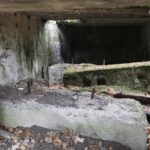 22.11.2021. Kompleks Lasów Cisowskich. Pozostałości tartaku / Jarosław Kubalski / Radio Kielce