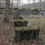 22.11.2021. Kompleks Lasów Cisowskich. Pozostałości tartaku / Jarosław Kubalski / Radio Kielce