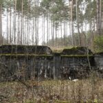 22.11.2021. Kompleks Lasów Cisowskich. Pozostałości tartaku / Jarosław Kubalski / Radio Kielce