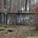 22.11.2021. Kompleks Lasów Cisowskich. Pozostałości tartaku / Jarosław Kubalski / Radio Kielce