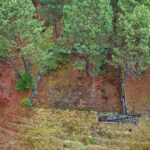 22.11.2021. Kompleks Lasów Cisowskich. Pozostałości tartaku / Jarosław Kubalski / Radio Kielce