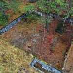 22.11.2021. Kompleks Lasów Cisowskich. Pozostałości tartaku / Jarosław Kubalski / Radio Kielce