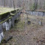 22.11.2021. Kompleks Lasów Cisowskich. Pozostałości tartaku / Jarosław Kubalski / Radio Kielce