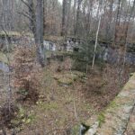 22.11.2021. Kompleks Lasów Cisowskich. Pozostałości tartaku / Jarosław Kubalski / Radio Kielce