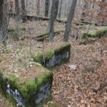 22.11.2021. Kompleks Lasów Cisowskich. Pozostałości tartaku / Jarosław Kubalski / Radio Kielce