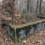 22.11.2021. Kompleks Lasów Cisowskich. Pozostałości tartaku / Jarosław Kubalski / Radio Kielce