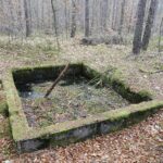 22.11.2021. Kompleks Lasów Cisowskich. Pozostałości tartaku / Jarosław Kubalski / Radio Kielce