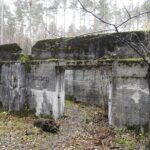 22.11.2021. Kompleks Lasów Cisowskich. Pozostałości tartaku / Jarosław Kubalski / Radio Kielce