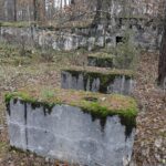 22.11.2021. Kompleks Lasów Cisowskich. Pozostałości tartaku / Jarosław Kubalski / Radio Kielce