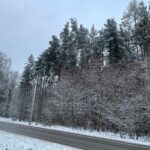 12.12.2021. Lasy zgórskie. Miejsce bitwy z 1944r. / Dionizy Krawczyński / Radio Kielce