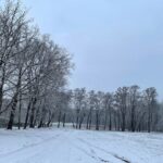 12.12.2021. Lasy zgórskie. Miejsce bitwy z 1944r. / Dionizy Krawczyński / Radio Kielce