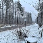 12.12.2021. Lasy zgórskie. Miejsce bitwy z 1944r. / Dionizy Krawczyński / Radio Kielce