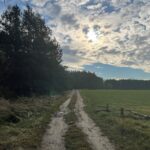 19.12.2021. Zakrzów w gminie Secemin. Miejsce walki z września 1944 r. / Dionizy Krawczyński / Radio Kielce