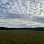 19.12.2021. Zakrzów w gminie Secemin. Miejsce walki z września 1944 r. / Dionizy Krawczyński / Radio Kielce