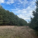 19.12.2021. Zakrzów w gminie Secemin. Miejsce walki z września 1944 r. / Dionizy Krawczyński / Radio Kielce